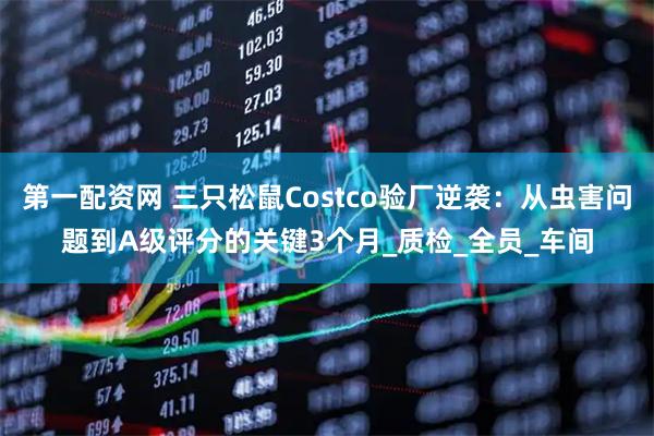 第一配资网 三只松鼠Costco验厂逆袭：从虫害问题到A级评分的关键3个月_质检_全员_车间