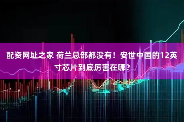 配资网址之家 荷兰总部都没有！安世中国的12英寸芯片到底厉害在哪？